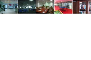 獵聘網 打造高端文化藝術交流平臺，賦能人才生態新體驗